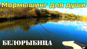 Мормышинг - отдых для души. Хороший клёв белорыбицы