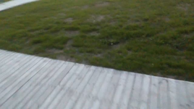 Сигвей, как это на самом деле) смотреть онлайн