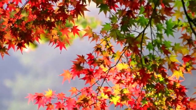 БЫВАЕТ ОСЕНЬЮ.. смотреть онлайн