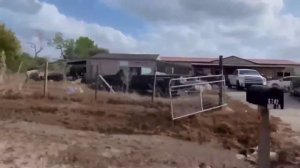 Мексиканская деревья в Техасе, США, #Ранчо