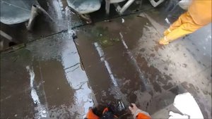 Инкубация толстолоба и амура: выбор производителей, получение икры, выклев личинки