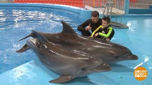 Дельфинотерапия и полеты в аэротрубе Доброе утро. Фрагмент выпуска от 14.03.2022