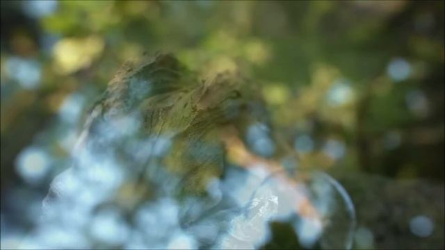 Good Morning - Joe Satriani style solo improvisation смотреть онлайн