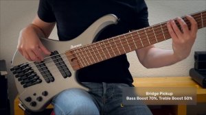 Ibanez EHB1006MS-MGM - Sound Demo (no talking)