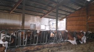 Ждала 1 отделилась другая Столько дел переделала без ног спать пошла