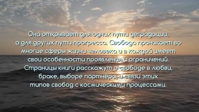 СВОБОДА И НЕИЗБЕЖНОСТЬ. КНИГА. СЕКЛИТОВА Л.А.СТРЕЛЬНИКОВА Л.Л.
