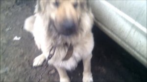 Багажник на СОБОЛЬ своими руками.