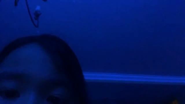 25 января 2018 г. смотреть онлайн