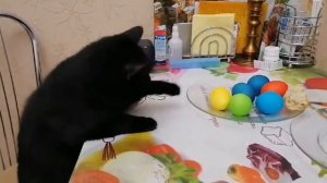 Кот ворует яйца.