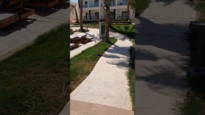 отель Amphoras Beach 5* - территория (14.09.2023)
