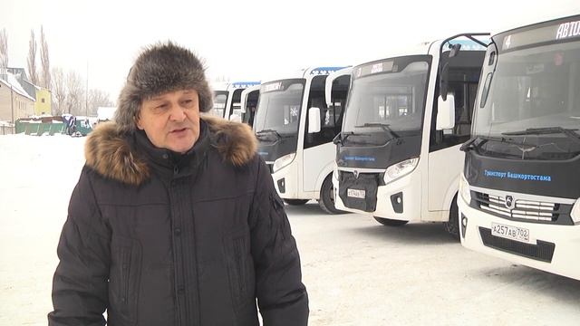 Новые автобусы
