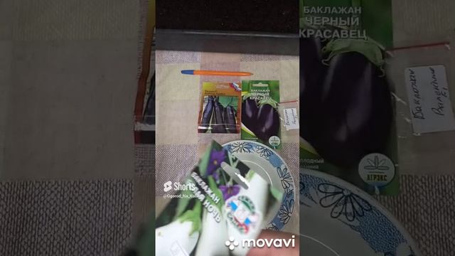 ОБЗОР СЕМЯН БАКЛАЖАНОВ БЕЛАЯ НОЧЬ. ОГОРОД НА КУБАНИ. shorts# смотреть онлайн