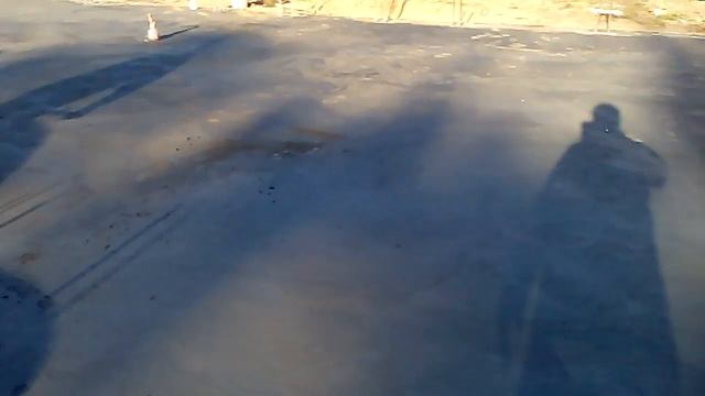 Затирка бетона затирочной машиной смотреть онлайн