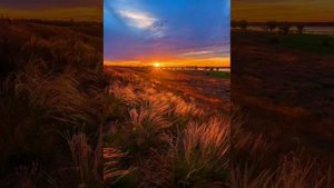 Народные песни. 05. Степь да степь кругом