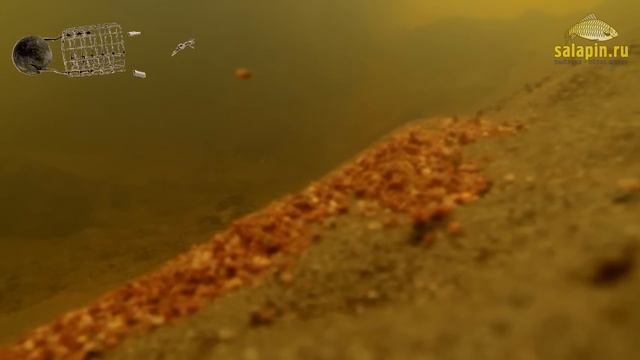 Фидерные кормушки под водой на сильном течении [salapinru]