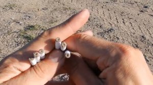 Тест самодельных петард