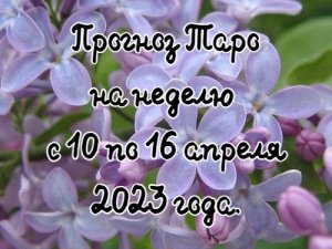 Прогноз Таро на неделю с 10 по 16 апреля 2023 года.