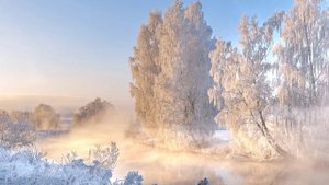 Футаж. Зимний пейзаж 83