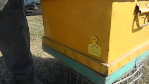 ЧИПирование пчёл в Башкирии