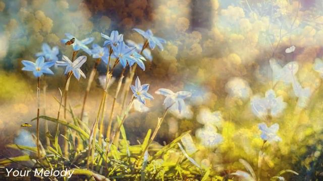 Лучшая музыка поможет снять усталость от стресса🌿успокоит нервную систему🌿#15 смотреть онлайн