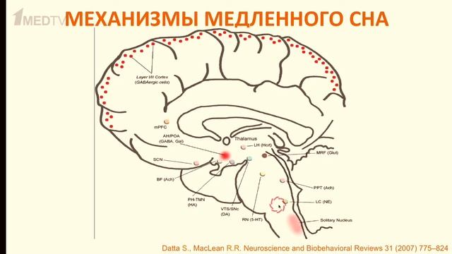 «Медицина в контексте», тема: «Наука о сне и сновидениях в XXI веке»