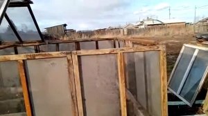 Теплица из оконных старых рам, своими руками????
