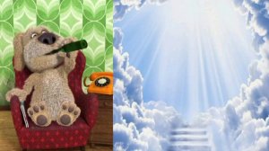 Бен выбирает место для сна