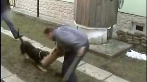 Психика КА-ДЕ-БО