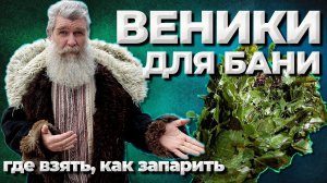 Веники для бани. Когда и как?//Живая Баня Иван Бояринцев