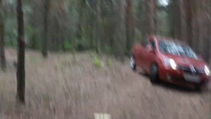 Renault Logan проходимость
