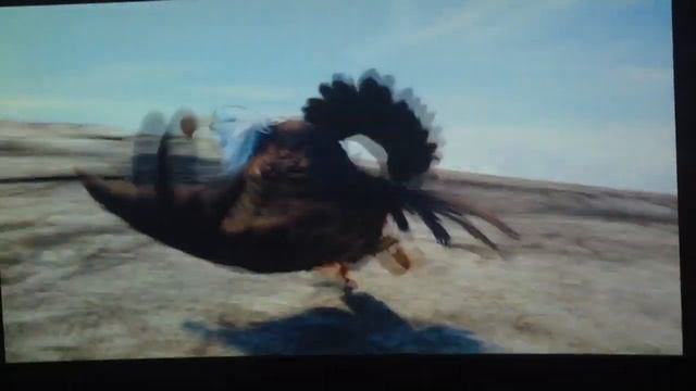 Never Gonna Give You Up [Angry Birds] смотреть онлайн