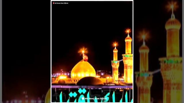 Mera Hussain Zinda Hai Status || Hussain Apka Jab Tajiya Banate Hai Status || Muharram Status 2021