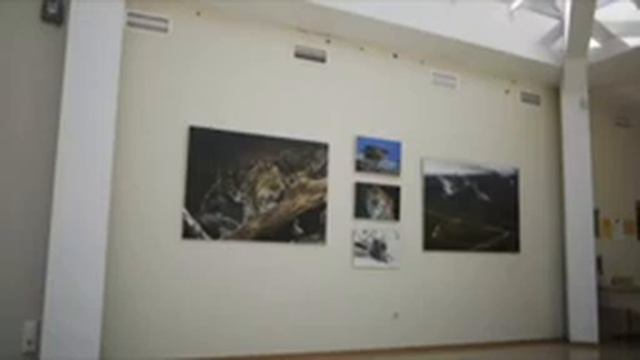 Leopard-Primorie-100 foto смотреть онлайн