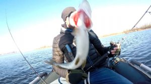 Уха на природе после рыбалки