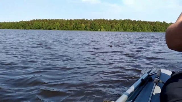 Троллинг Лемболово (3)