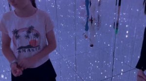 teamLab Borderless - музей будущего в Токио.