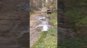 квадроцикл ирбис 200 кубов.