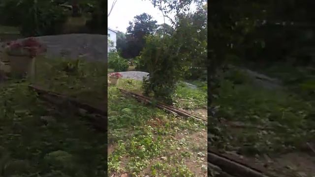 First arrival Daniels house in Peduase. смотреть онлайн