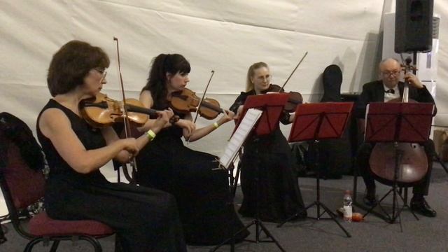 Квартет «Вернисаж» Quartet Vernissage Константин Меладзе «Оттепель»  Konstantin Meladze Thaw