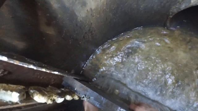 ловим карпа в пруду . пересадка малька сазана и карпа смотреть онлайн