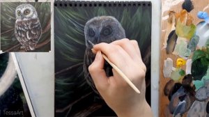 Рисуем сову акрилом (гуашью)