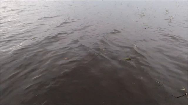 Жара и безветренно... подбираем расцветки для капризной щуки смотреть онлайн