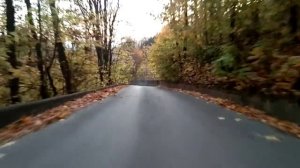 Нижний Новгород 2020. Золотая осень. Урочище Слуда 2