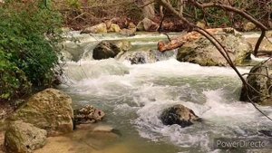 Звуки природы - шум реки и пение птиц Sounds of nature - river and birdsong. OneTime NAP