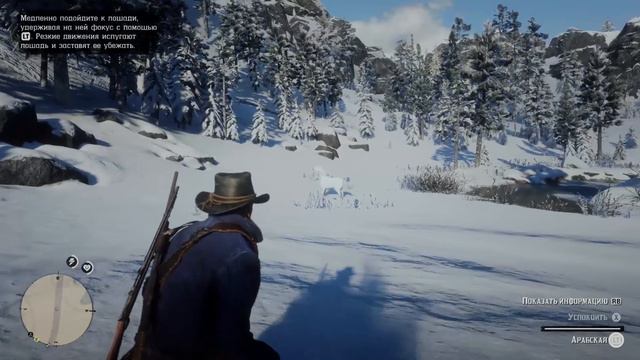 Приручаем арабского скакуна в Red dead redemption 2.