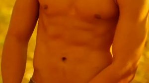 Hermes - Terre D'Hermes