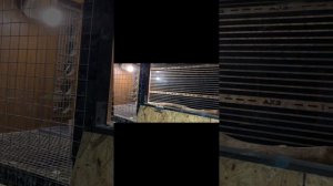 Брудер для цыплят разные варианты для разных возрастов