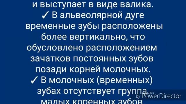 Что такое молочные зубы. Разница между постоянными и молочными зубами.Терапевтическая стоматология смотреть онлайн