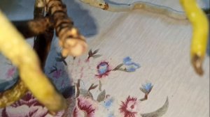 Плесень на корнях орхидей Ванд. Что делать. Как правильно обрезать. Сорт Vanda Boschii .