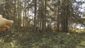 Одиночный поход. Ночевка в лесу. 14км пешком по тайге. Схрон с едой , лодка с палаткой.